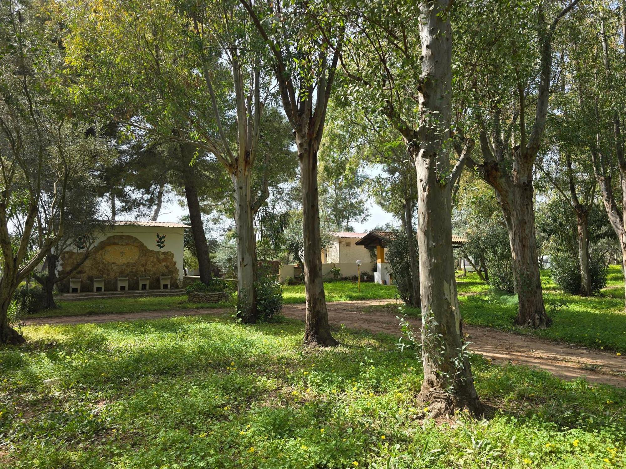 Village Camping Fico D'India Ovile la Marina Eksteriør bilde