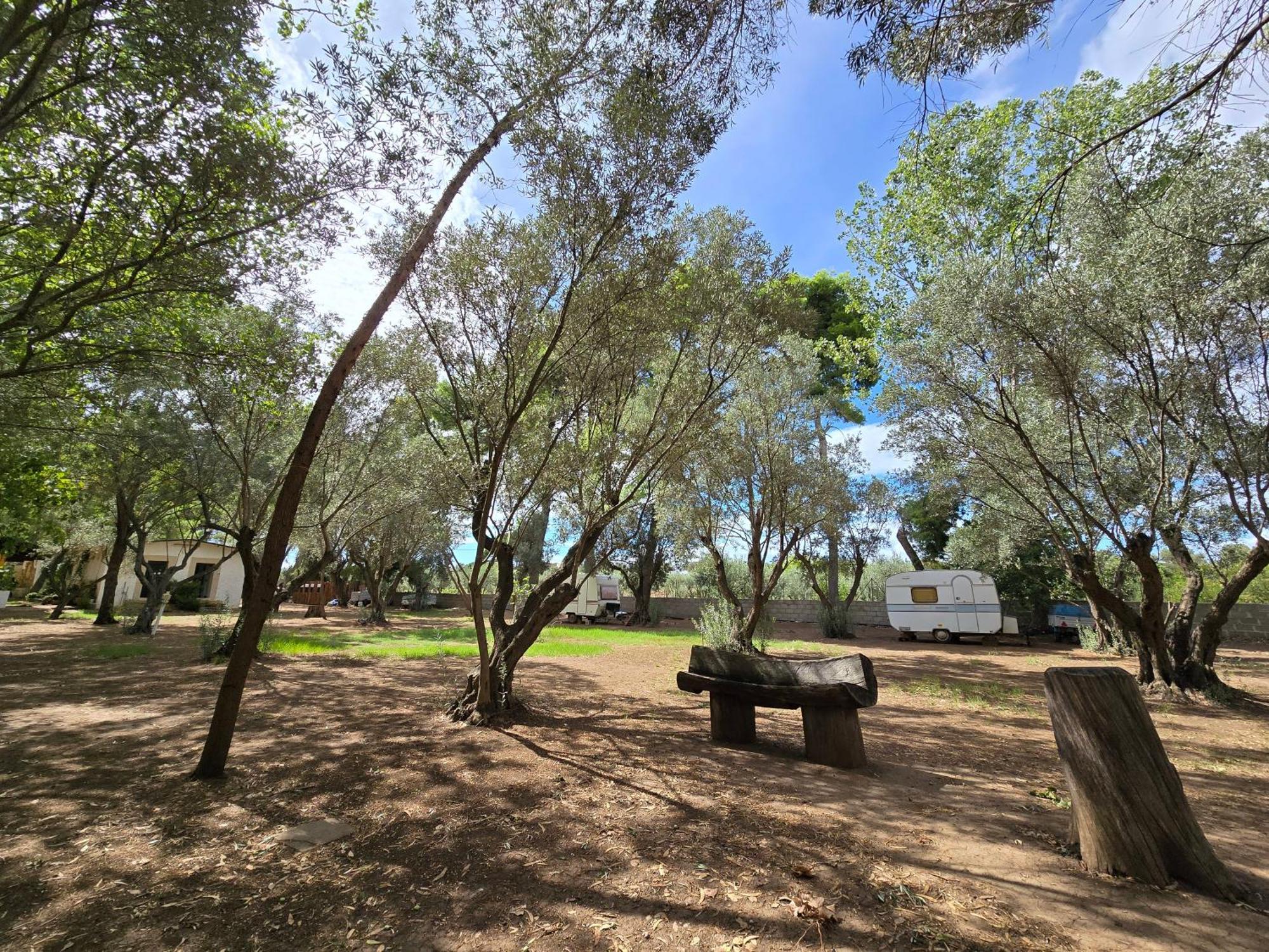 Village Camping Fico D'India Ovile la Marina Eksteriør bilde